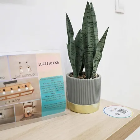 Amores Loft Rural Apartment